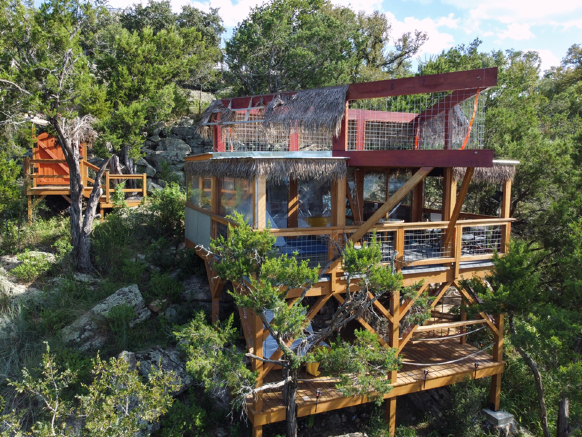 The Bird's Nest
